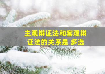 主观辩证法和客观辩证法的关系是 多选